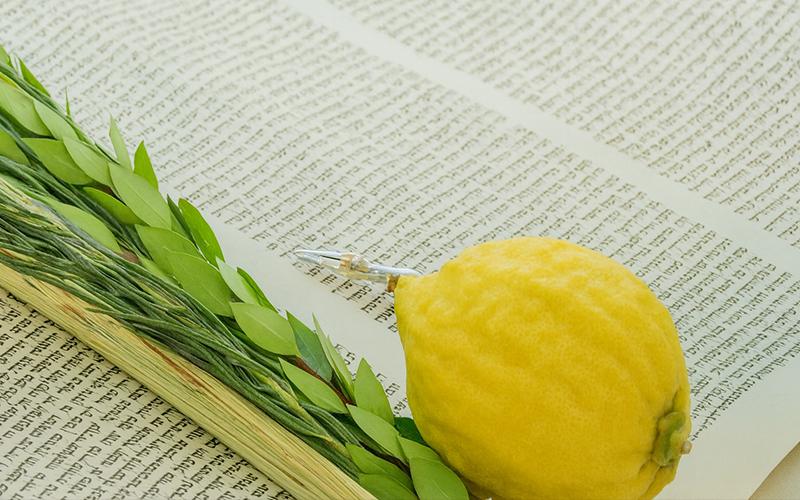 Soukkah et arba‘ minim (Souccot)